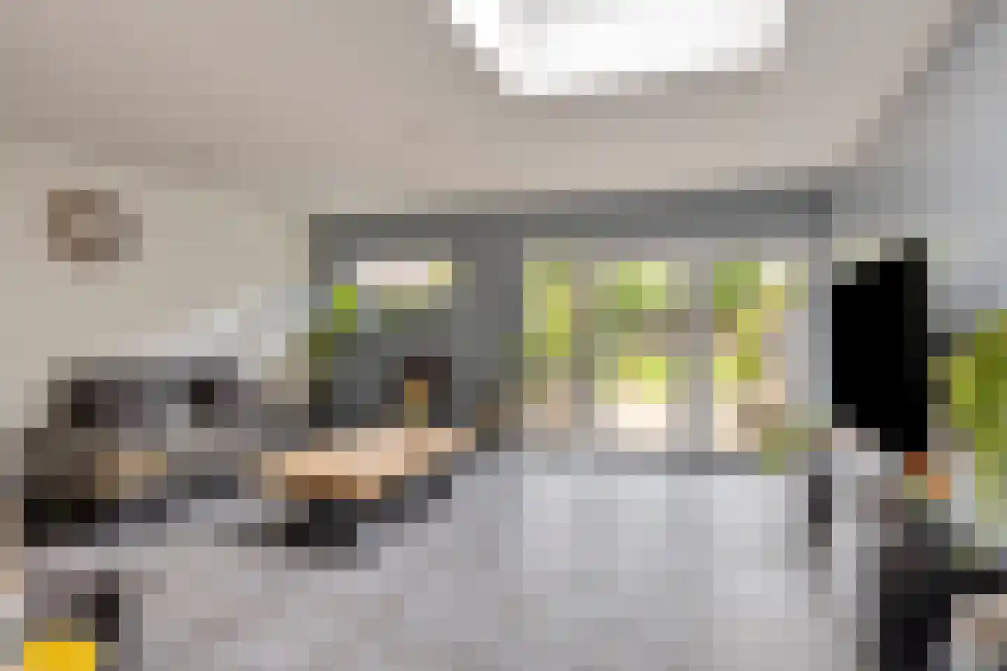 Wethouder Spekkinkstraat 18 Toldijk thumbnail 6