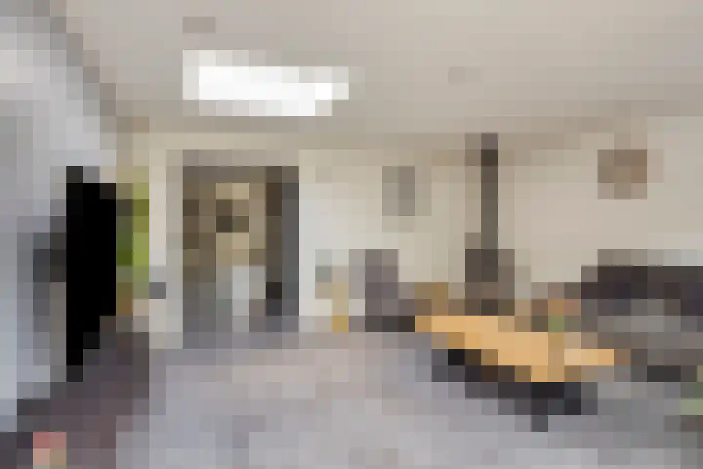 Wethouder Spekkinkstraat 18 Toldijk thumbnail 7