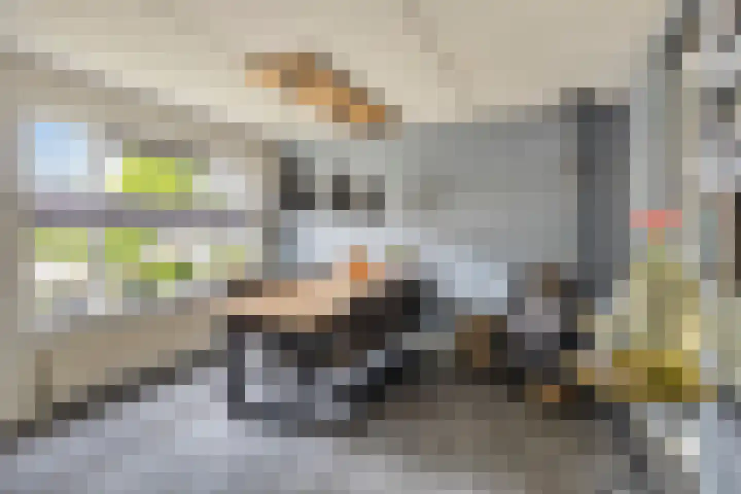 Wethouder Spekkinkstraat 18 Toldijk thumbnail 9