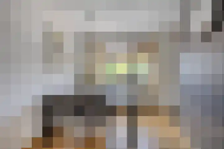 Wethouder Spekkinkstraat 7 Toldijk thumbnail 11