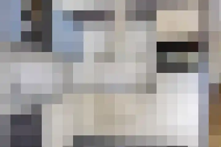 Wethouder Spekkinkstraat 7 Toldijk thumbnail 14