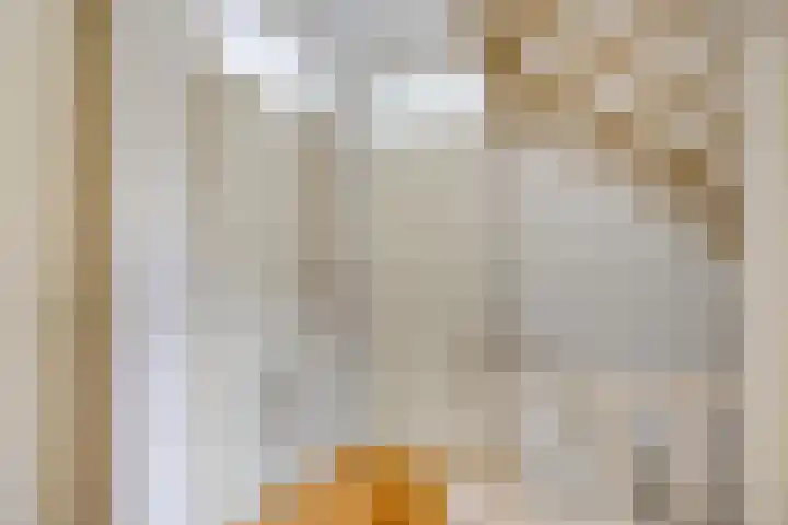 Wethouder Spekkinkstraat 7 Toldijk thumbnail 18