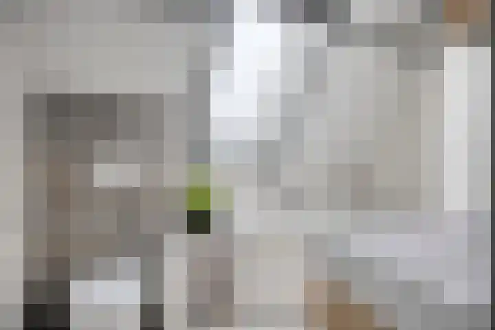 Wethouder Spekkinkstraat 7 Toldijk thumbnail 21