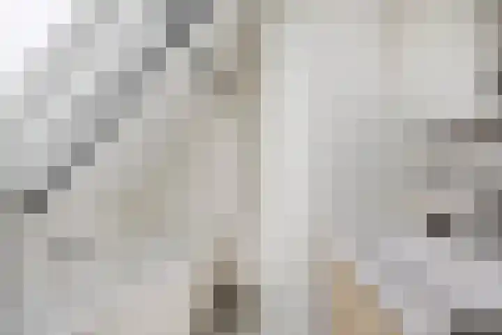 Wethouder Spekkinkstraat 7 Toldijk thumbnail 22
