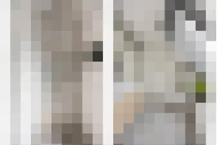 Wethouder Spekkinkstraat 7 Toldijk thumbnail 23