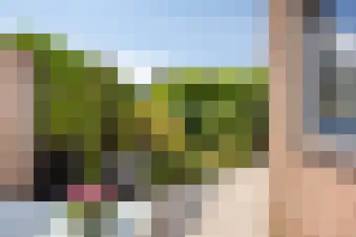 Wethouder Spekkinkstraat 7 Toldijk thumbnail 33