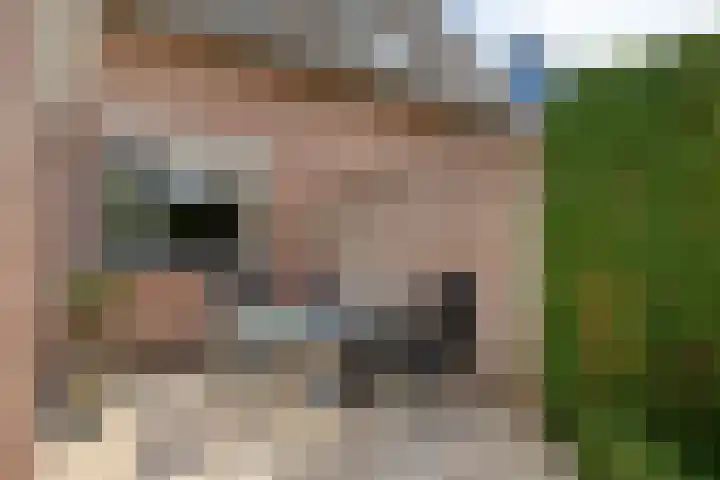 Wethouder Spekkinkstraat 7 Toldijk thumbnail 34
