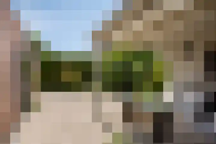 Wethouder Spekkinkstraat 7 Toldijk thumbnail 36