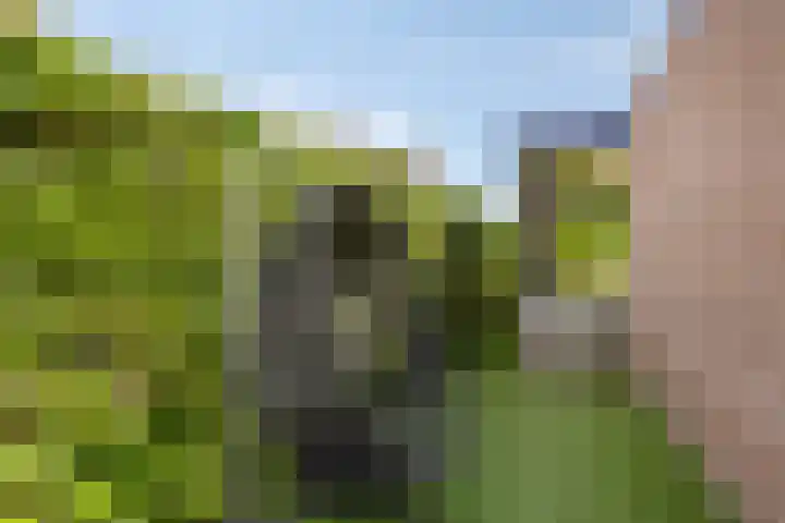 Wethouder Spekkinkstraat 7 Toldijk thumbnail 37