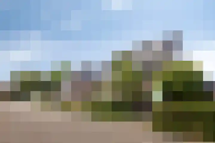 Wethouder Spekkinkstraat 7 Toldijk thumbnail 39