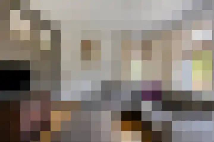 Wethouder Spekkinkstraat 7 Toldijk thumbnail 8