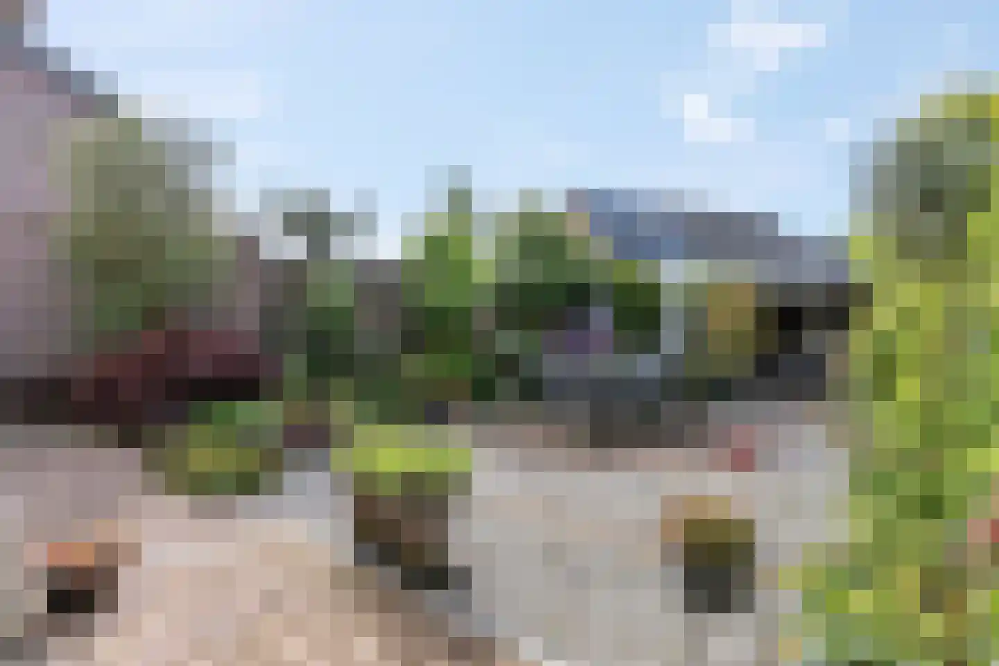 Wethouder Ten Hamlaan 13 Barneveld thumbnail 34