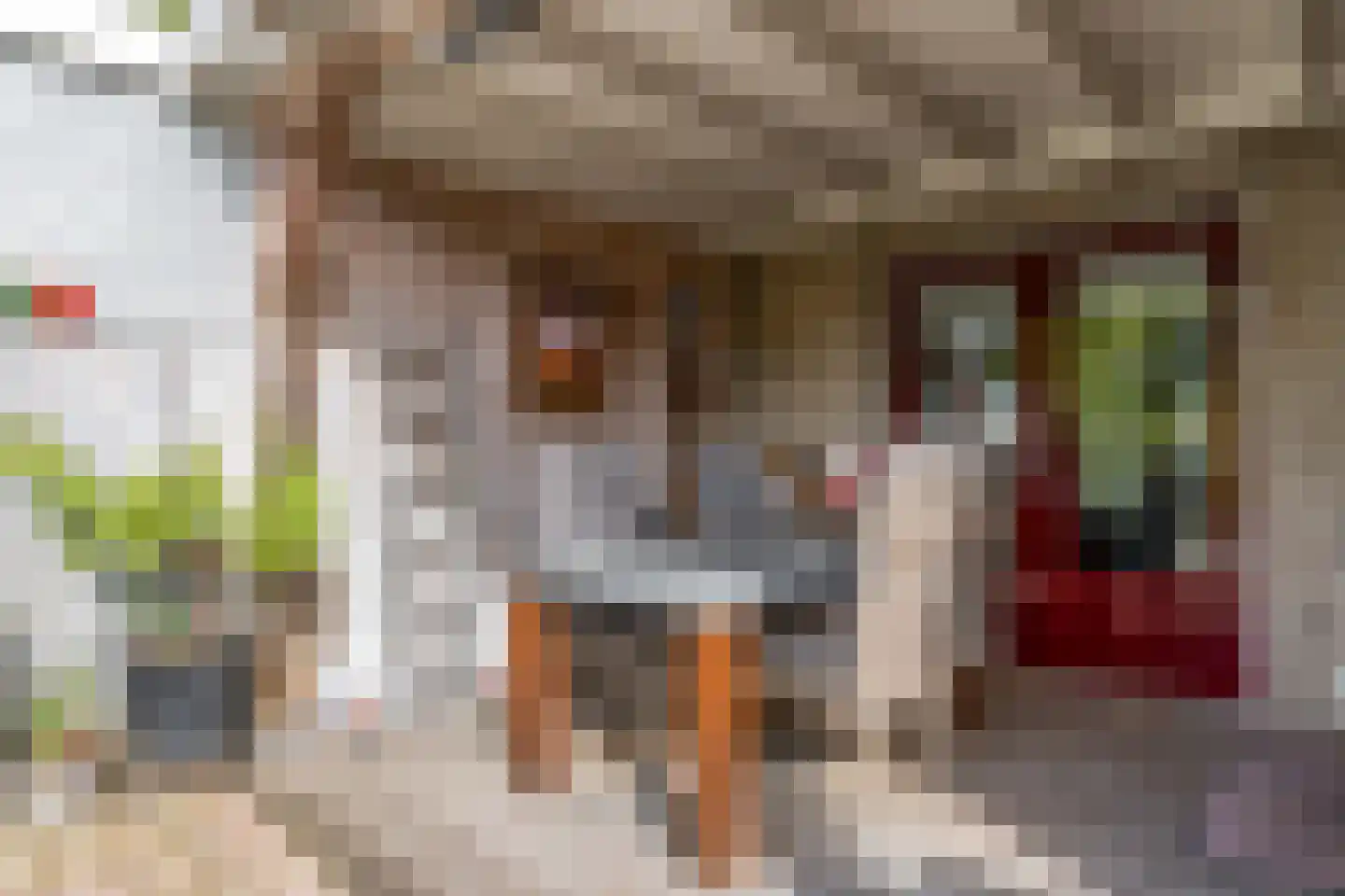 Wethouder Ten Hamlaan 13 Barneveld thumbnail 38
