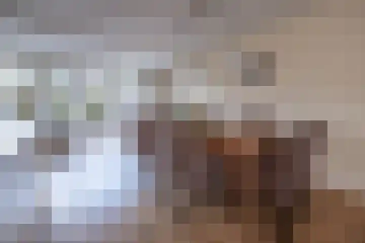 Wethouder Ten Hamlaan 36 Barneveld thumbnail 8