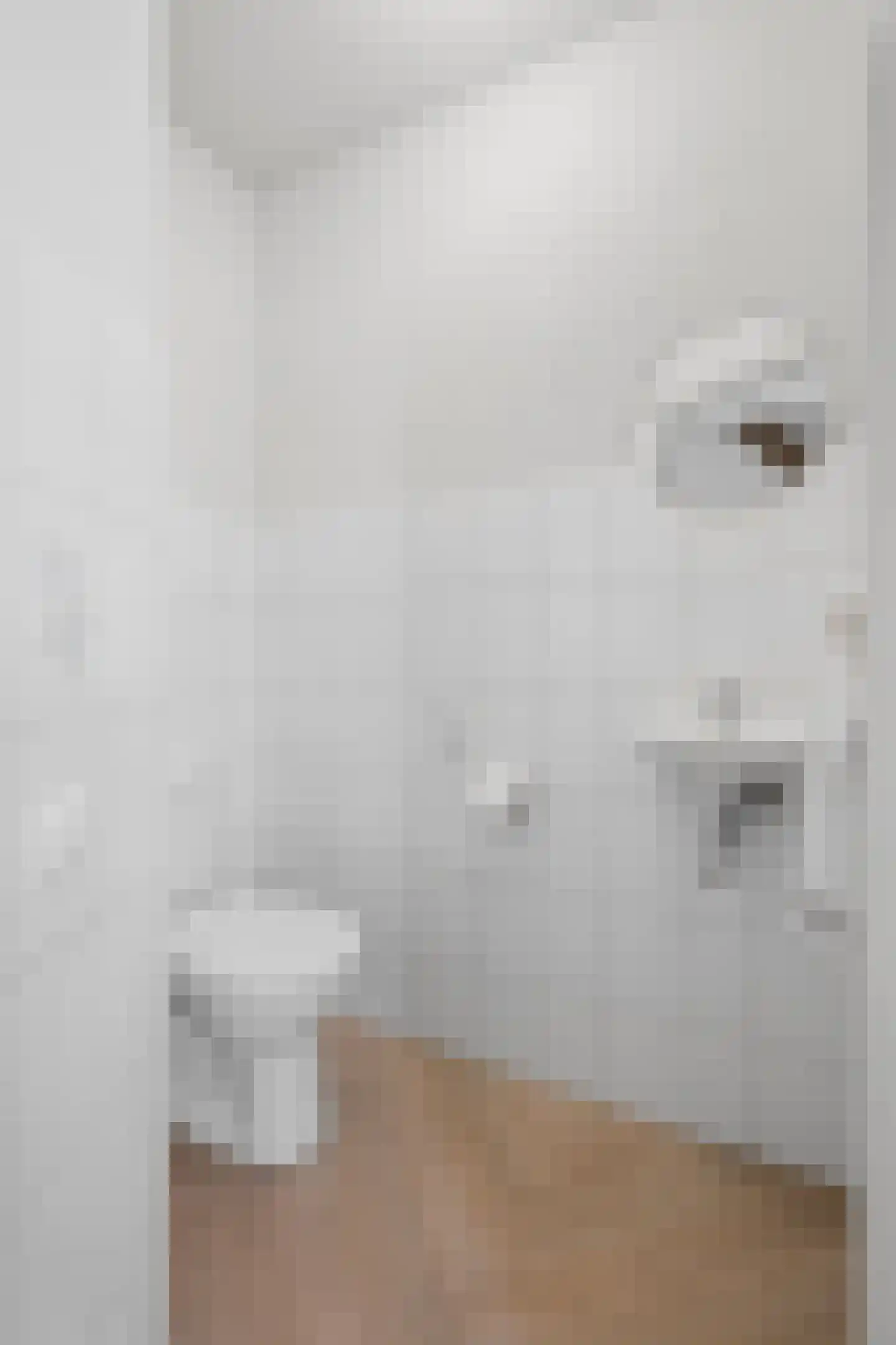 Wethouder Ten Hamlaan 55 Barneveld thumbnail 25