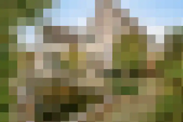 Wethouder Ten Hamlaan 57 Barneveld thumbnail 33