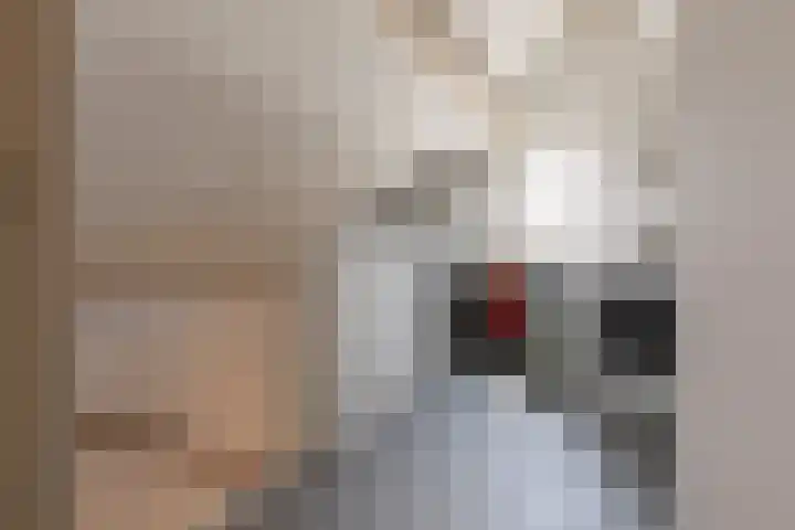 Wethouder Ten Hamlaan 6 Barneveld thumbnail 36