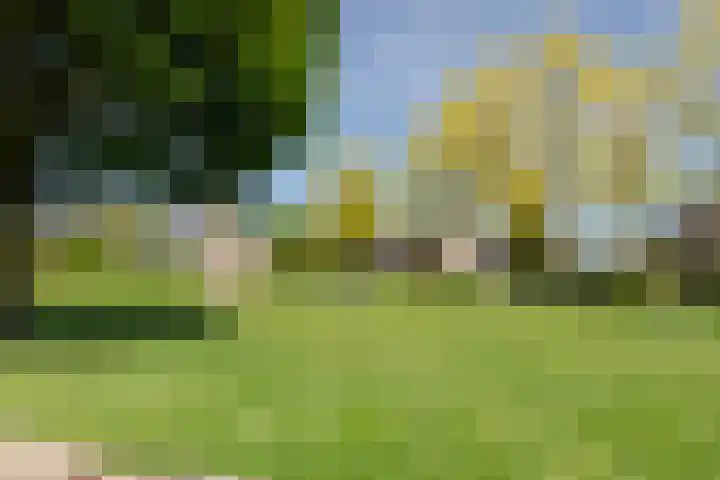 Wethouder Ten Hamlaan 6 Barneveld thumbnail 47