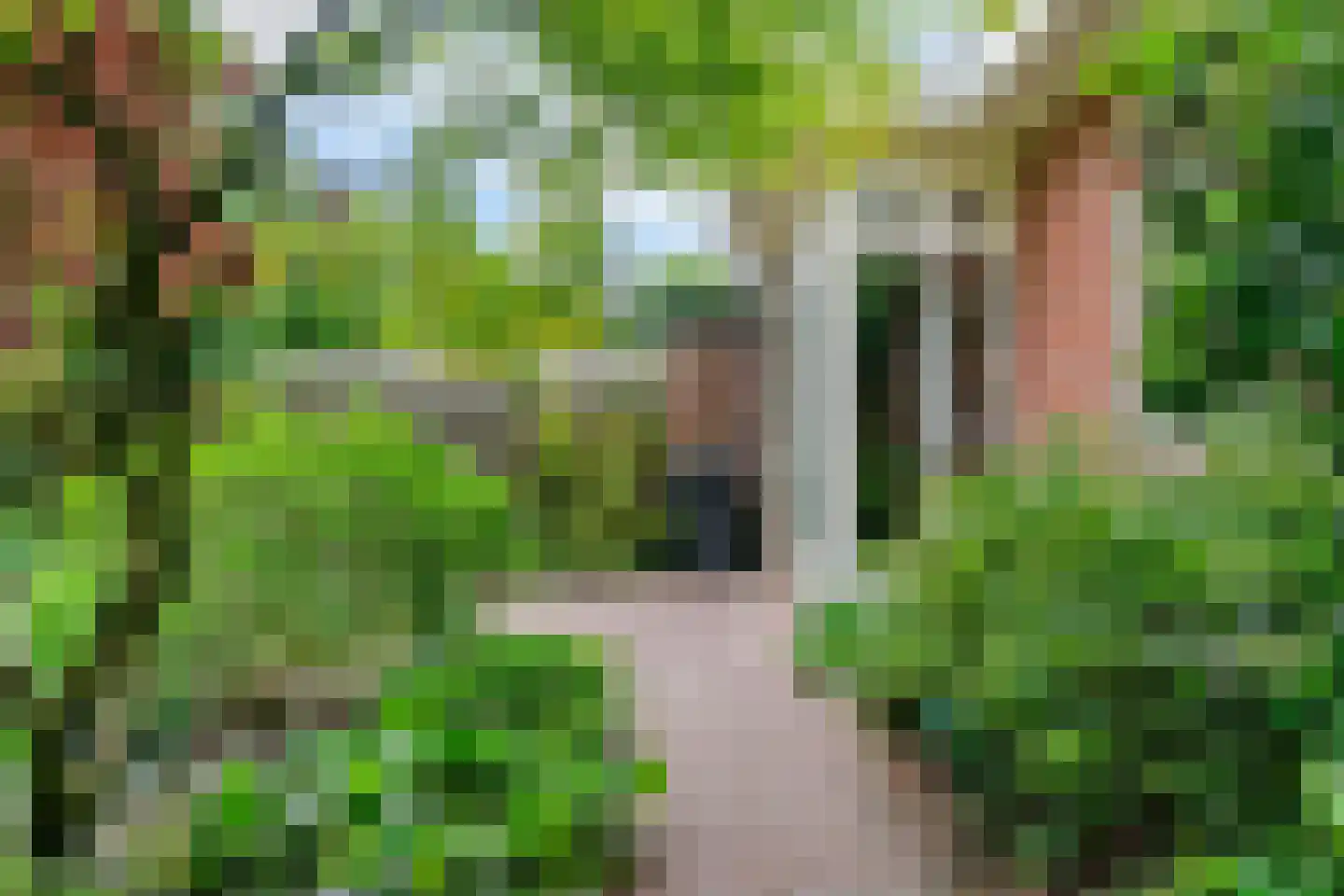 Wethouder Teselinglaan 1 Driebergen-Rijsenburg thumbnail 38
