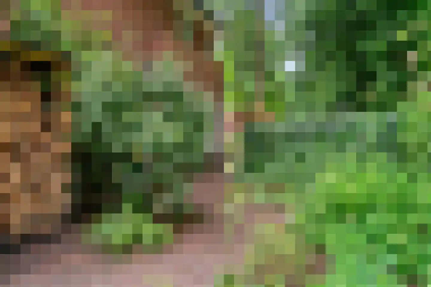 Wethouder Teselinglaan 1 Driebergen-Rijsenburg thumbnail 48