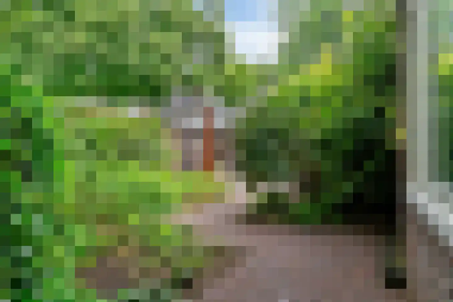 Wethouder Teselinglaan 1 Driebergen-Rijsenburg thumbnail 52