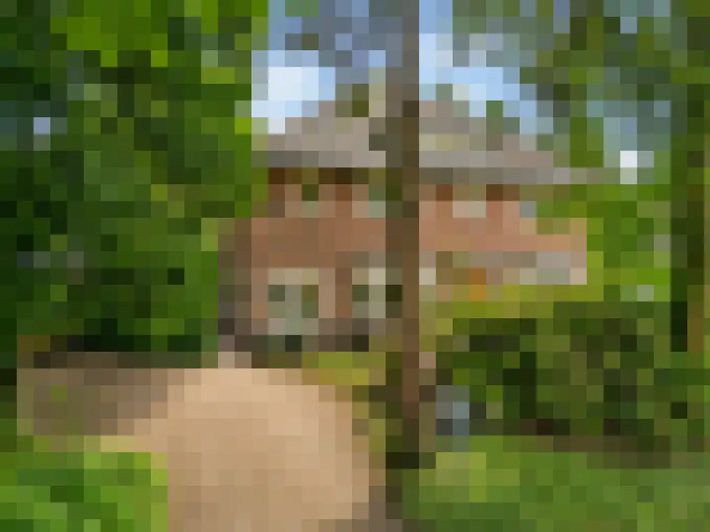 Wethouder Teselinglaan 1 Driebergen-Rijsenburg thumbnail 56
