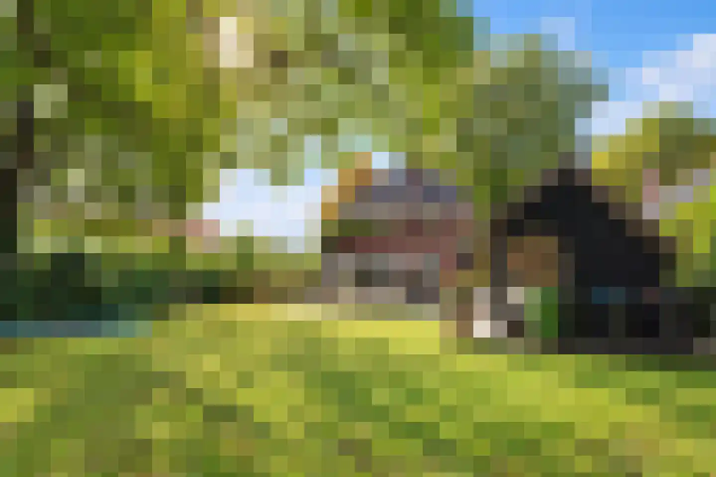Wethouder Teselinglaan 15 Driebergen-Rijsenburg thumbnail 41