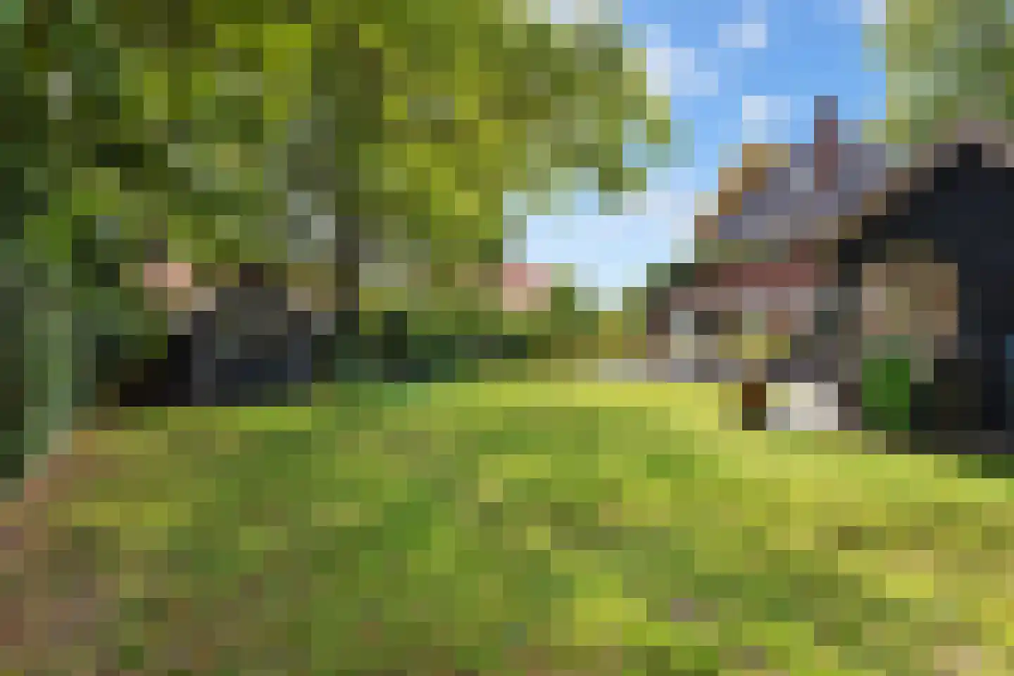 Wethouder Teselinglaan 15 Driebergen-Rijsenburg thumbnail 46