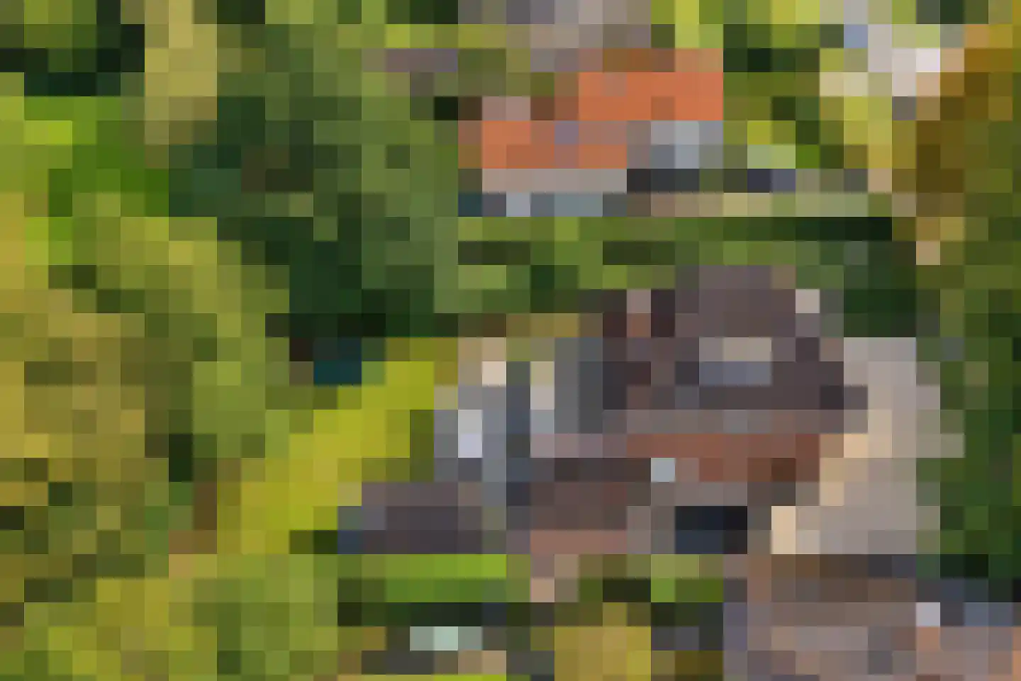 Wethouder Teselinglaan 15 Driebergen-Rijsenburg thumbnail 5