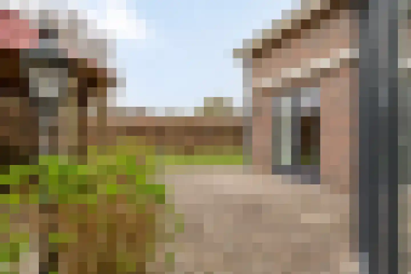 Wethouder Teunissenstraat 26 Sint Anthonis thumbnail 32