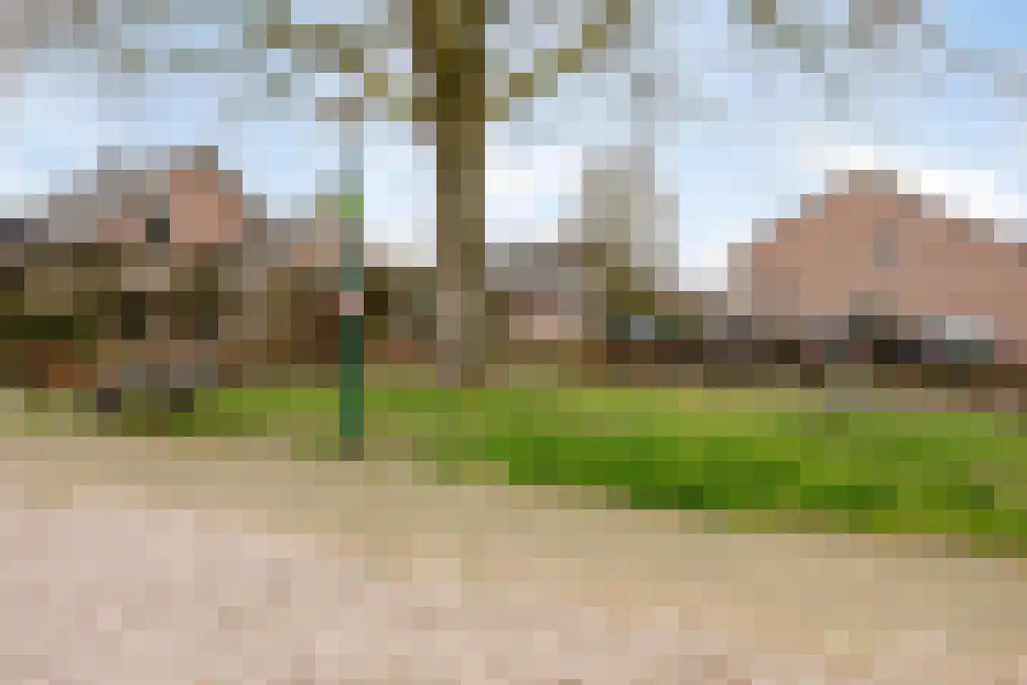 Wethouder Teunissenstraat 26 Sint Anthonis thumbnail 39