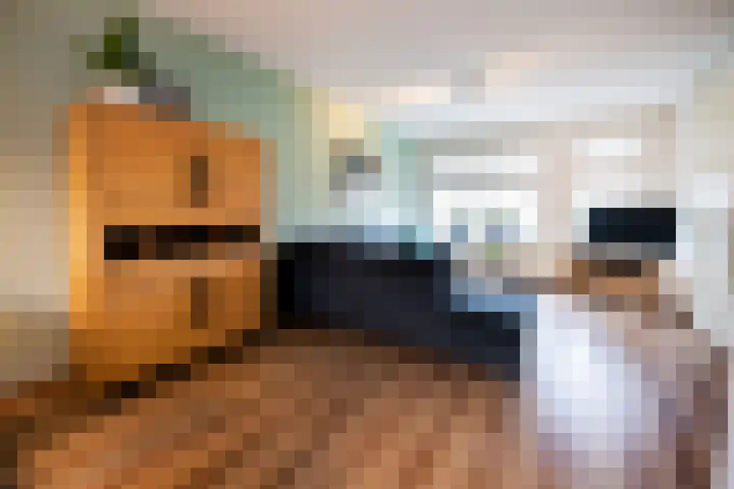 Wethouder Tielenstraat 20 Egchel thumbnail 12
