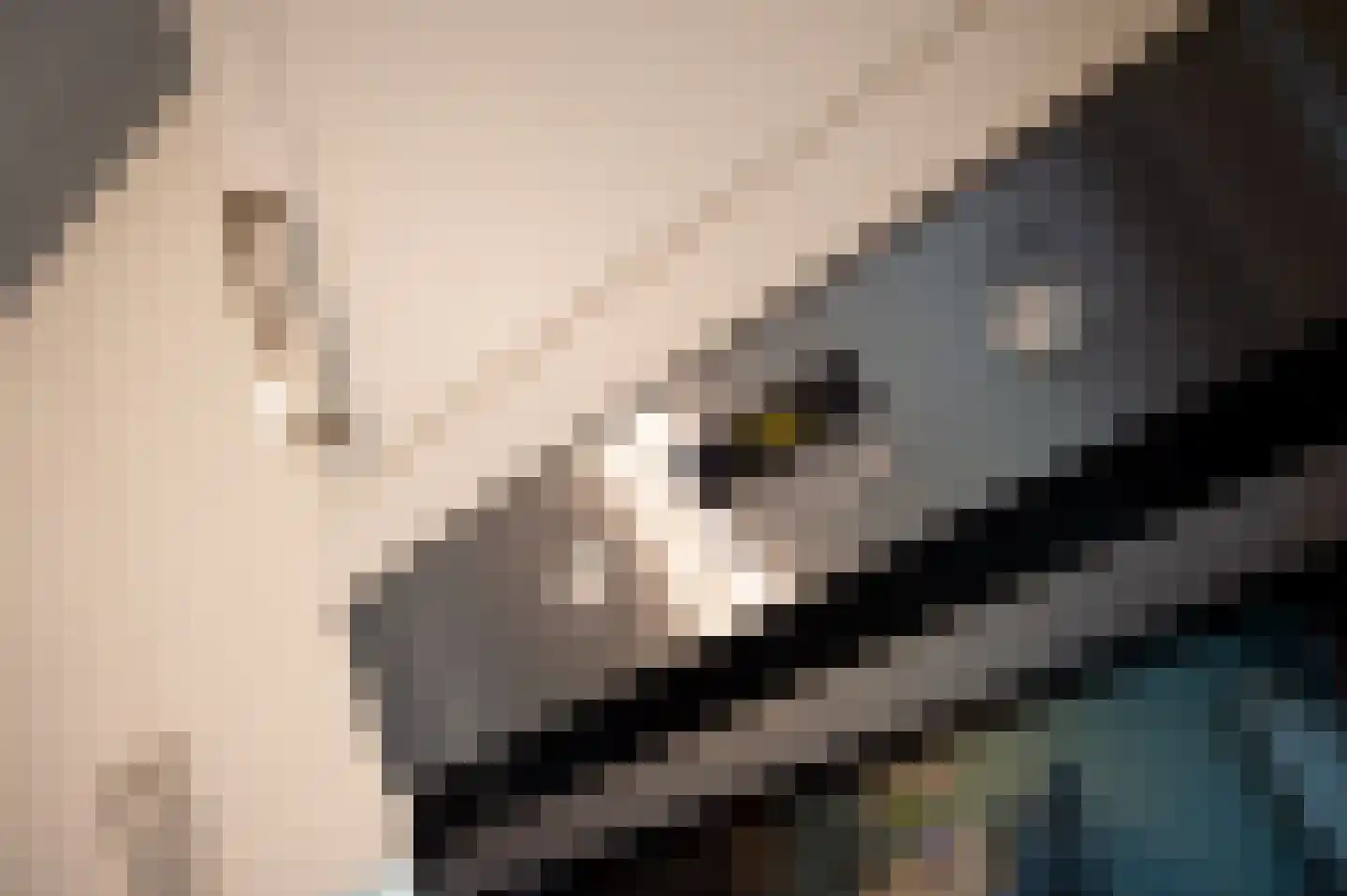 Wethouder Tielenstraat 20 Egchel thumbnail 20