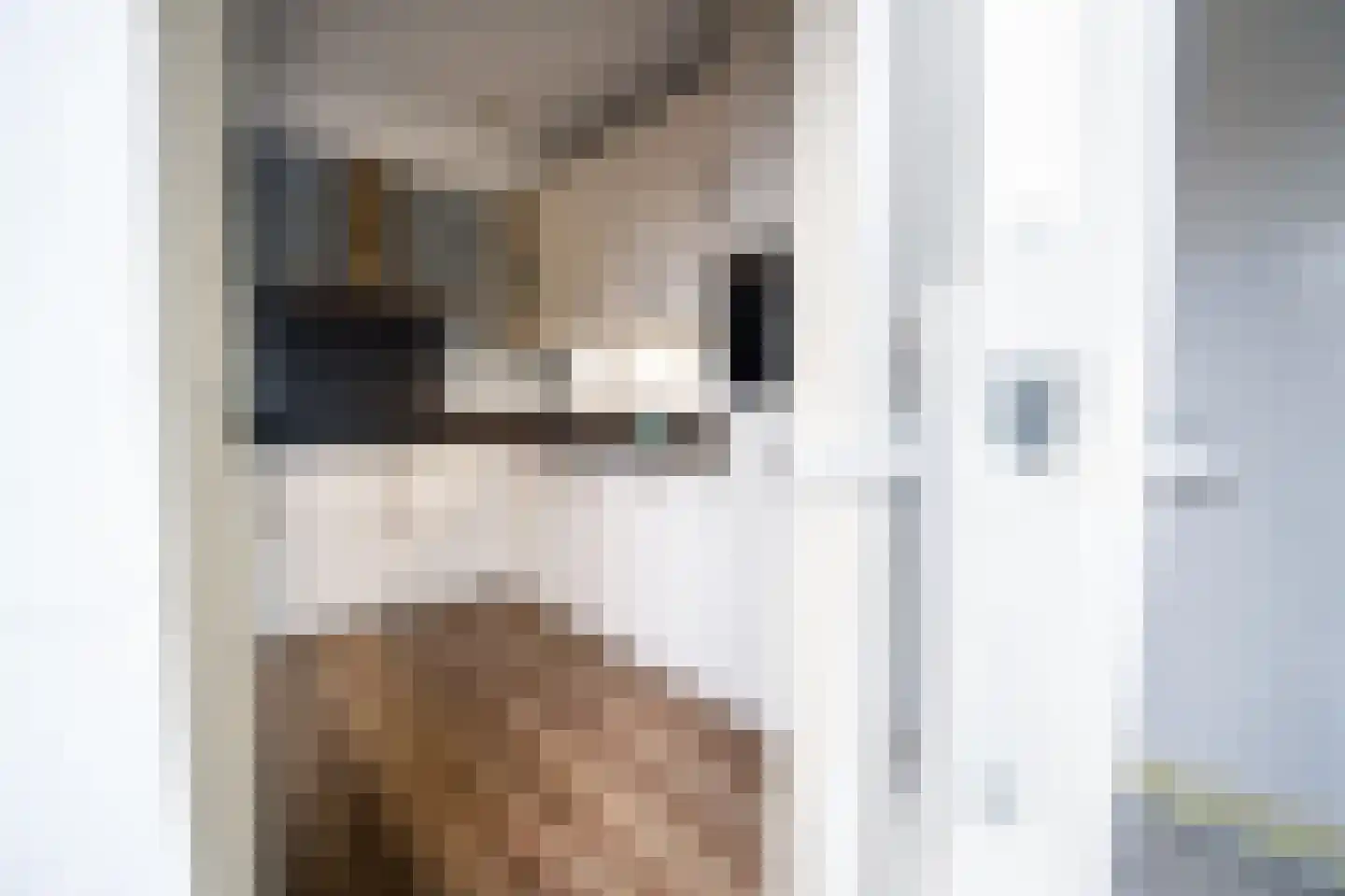 Wethouder Tielenstraat 20 Egchel thumbnail 21