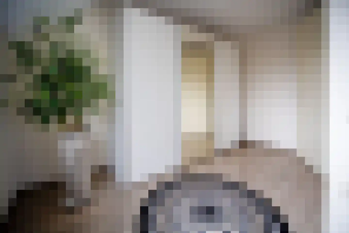 Wethouder Tielenstraat 20 Egchel thumbnail 31