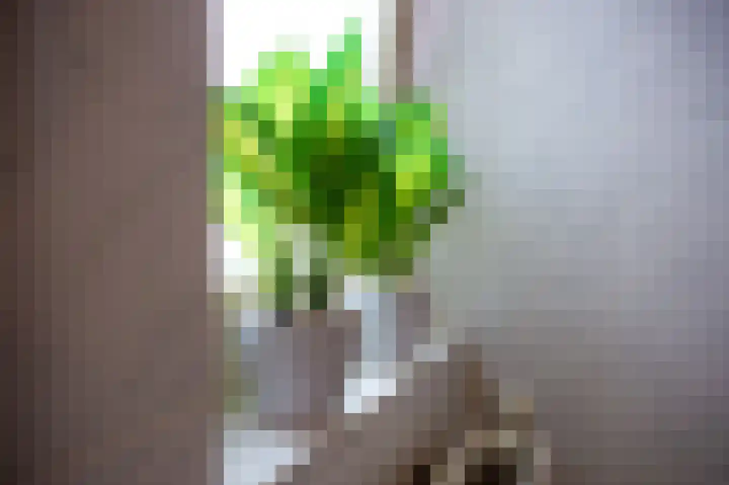 Wethouder Tielenstraat 20 Egchel thumbnail 37