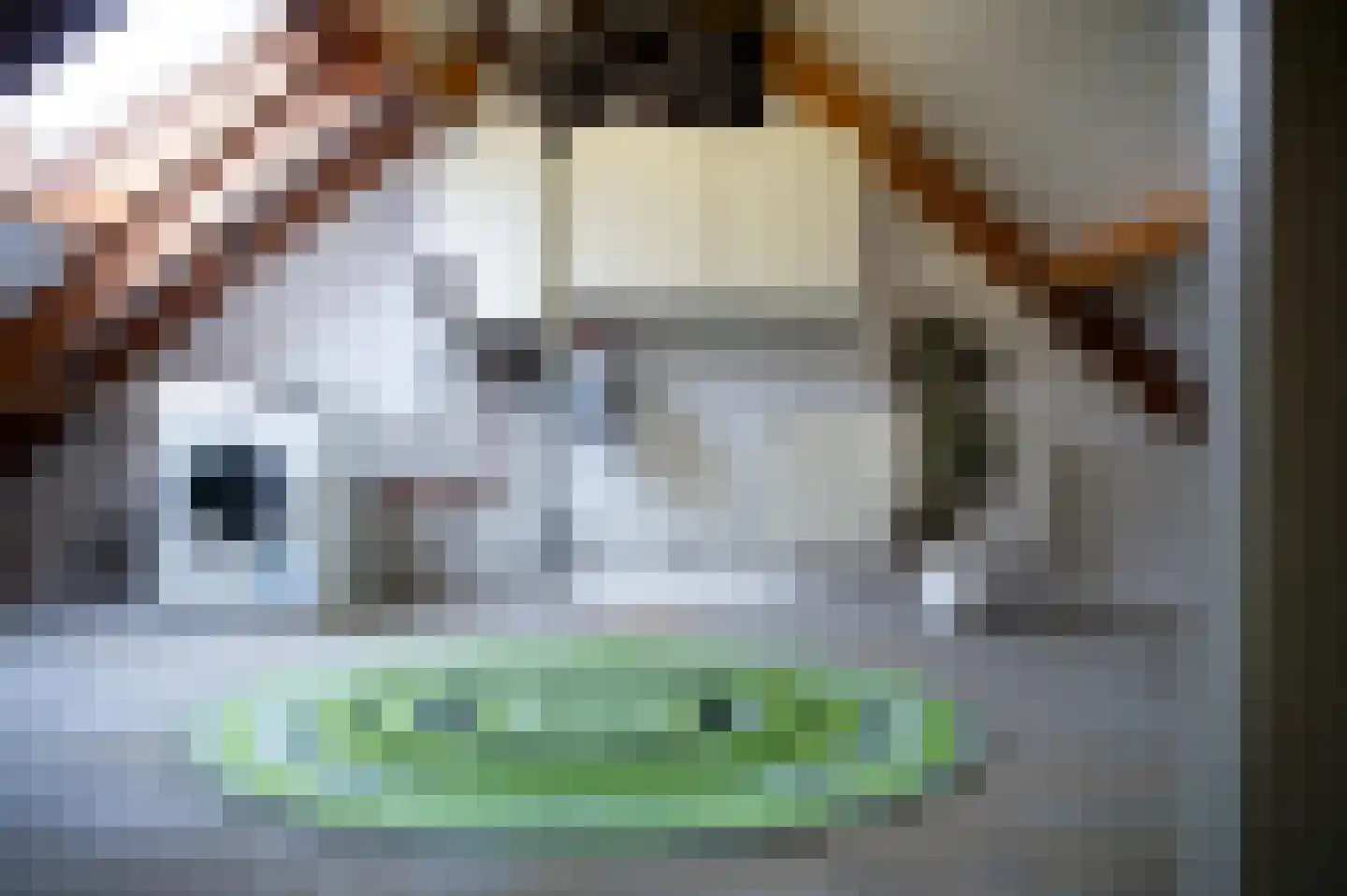 Wethouder Tielenstraat 20 Egchel thumbnail 39