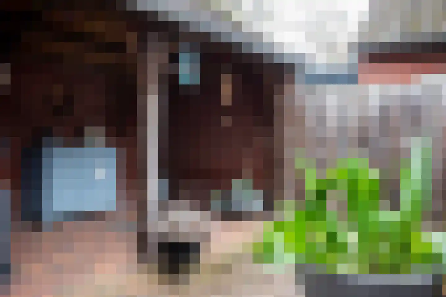 Wethouder Tielenstraat 20 Egchel thumbnail 45
