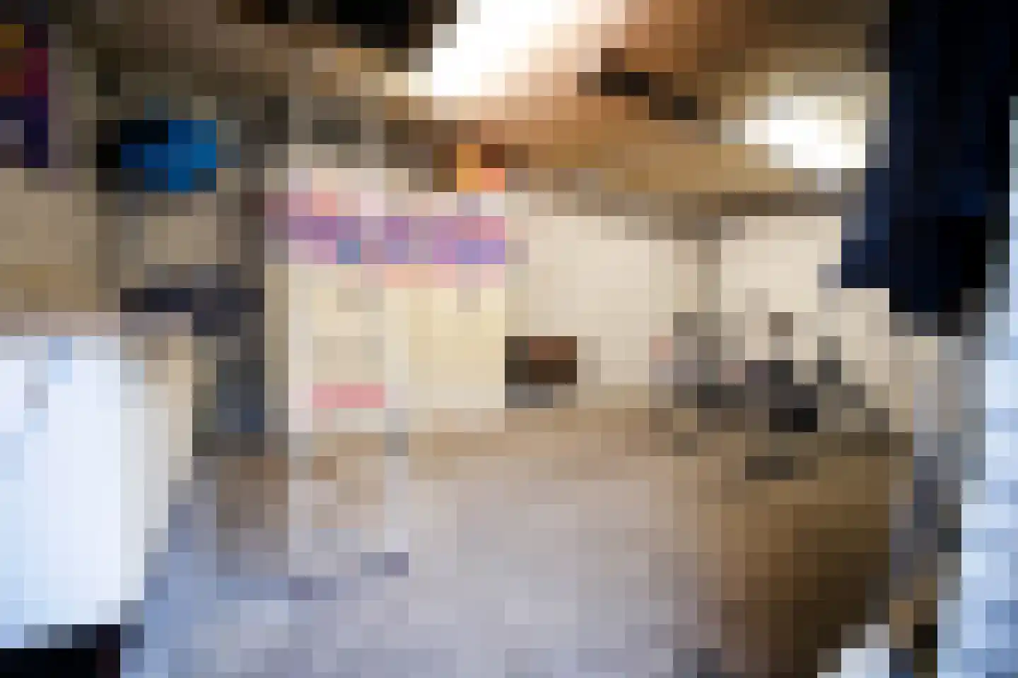 Wethouder Tielenstraat 20 Egchel thumbnail 48