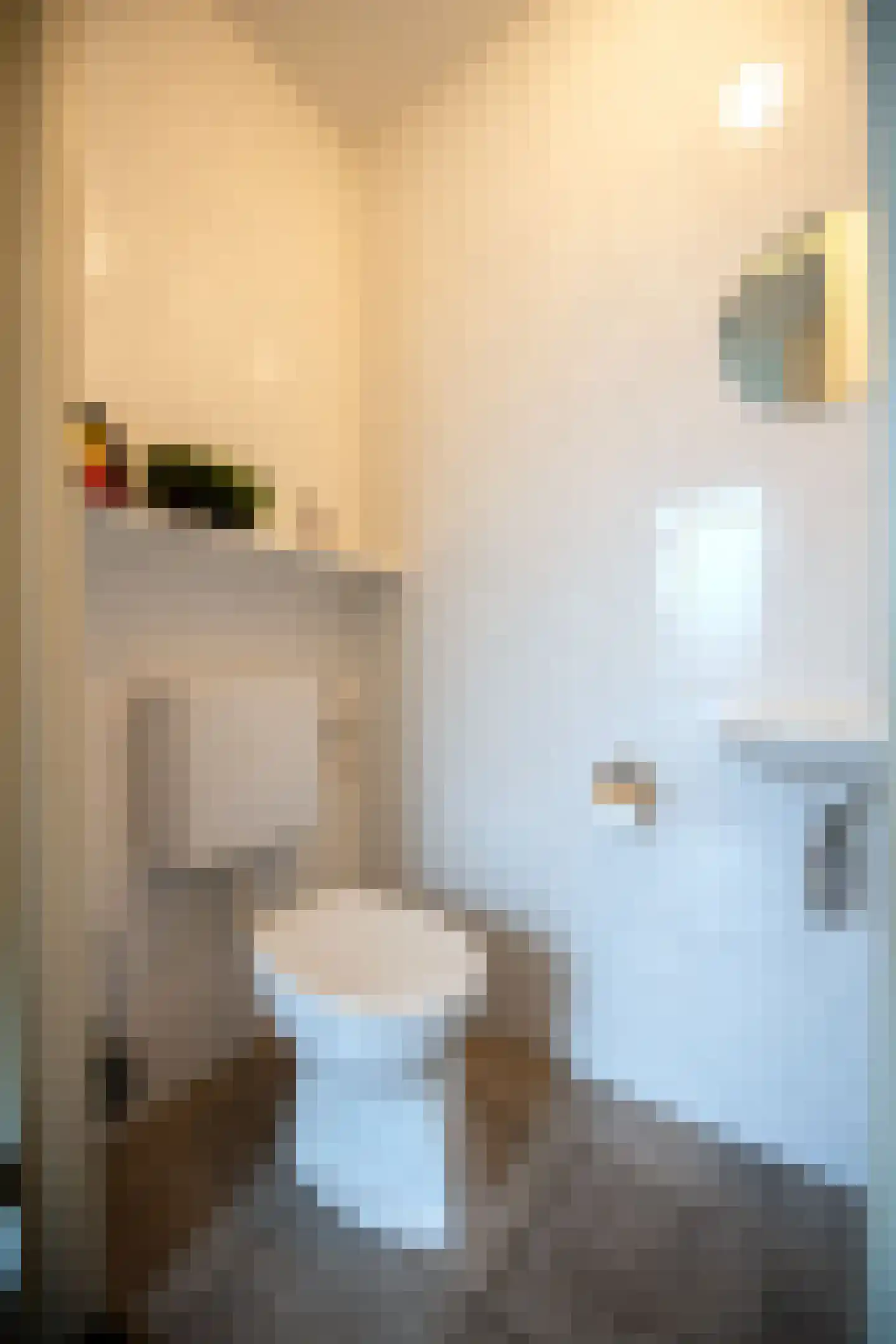 Wethouder Tielenstraat 20 Egchel thumbnail 7