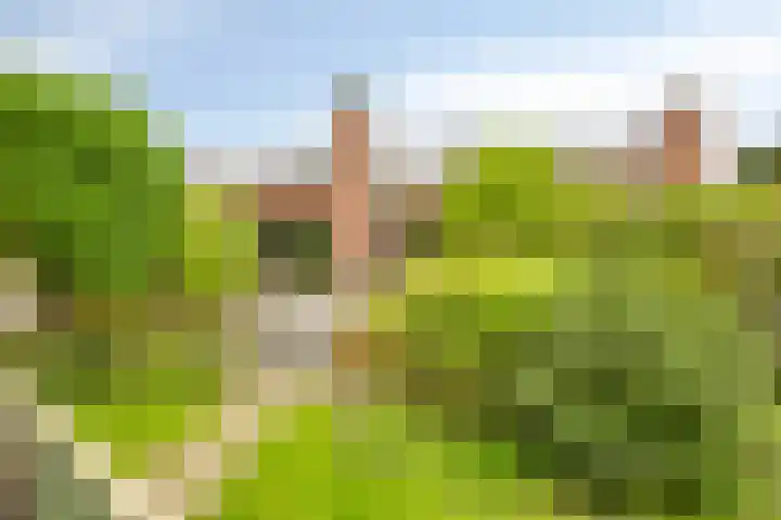 Wethouder Timmermanpark 12 Valburg thumbnail 51