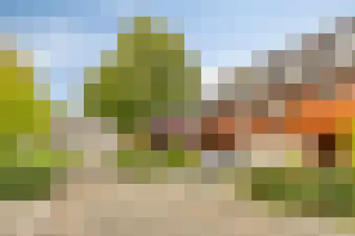 Wethouder Timmermanpark 12 Valburg thumbnail 6