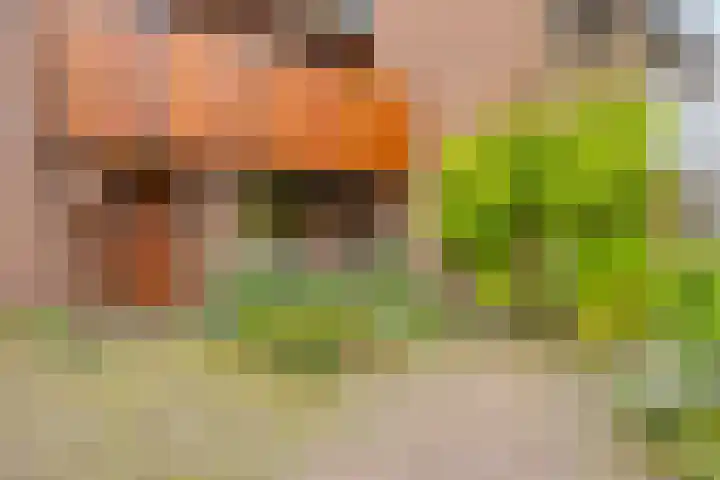 Wethouder Timmermanpark 12 Valburg thumbnail 7