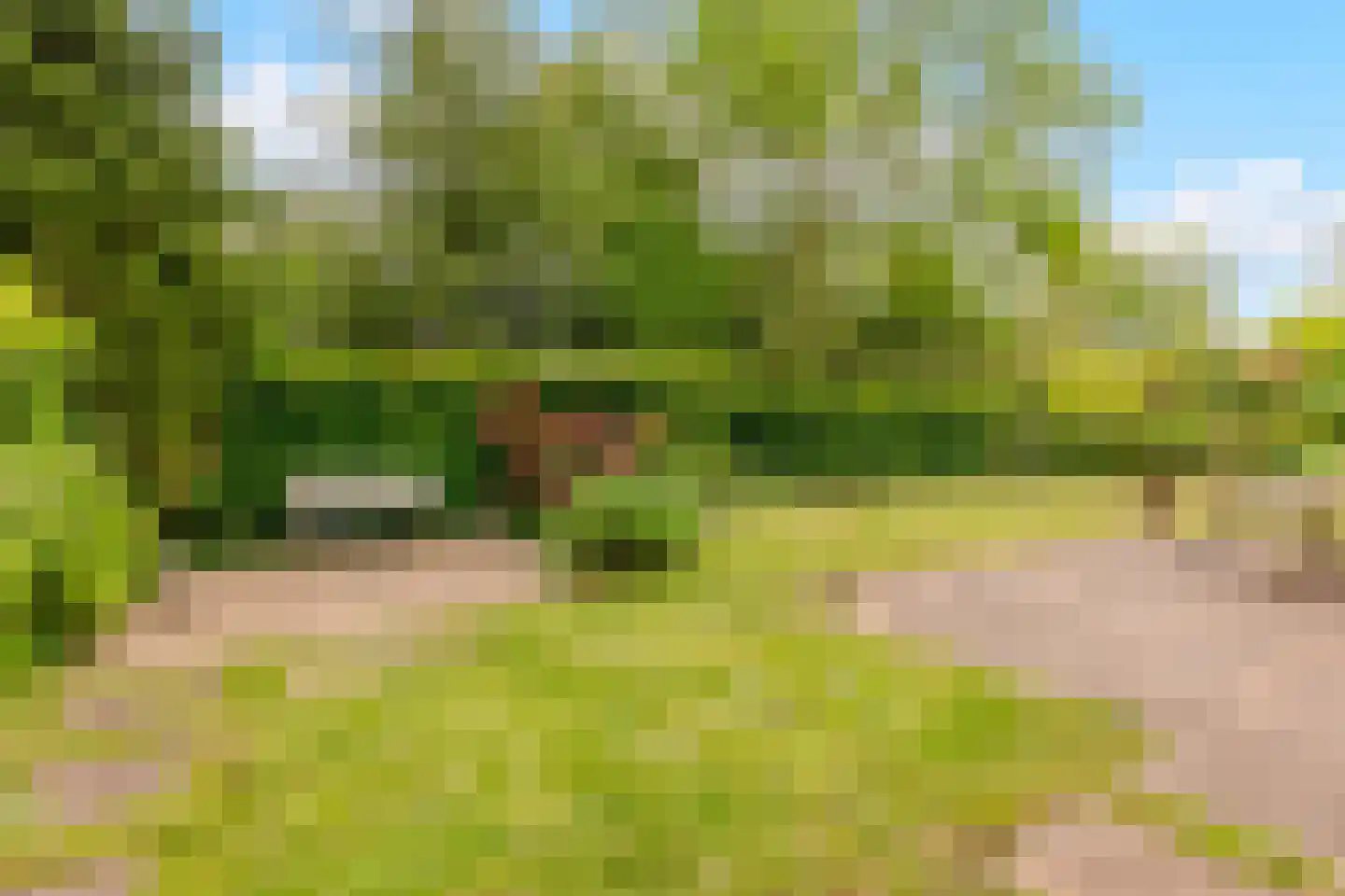 Wethouder Tomsonbos 45 Heiloo thumbnail 23