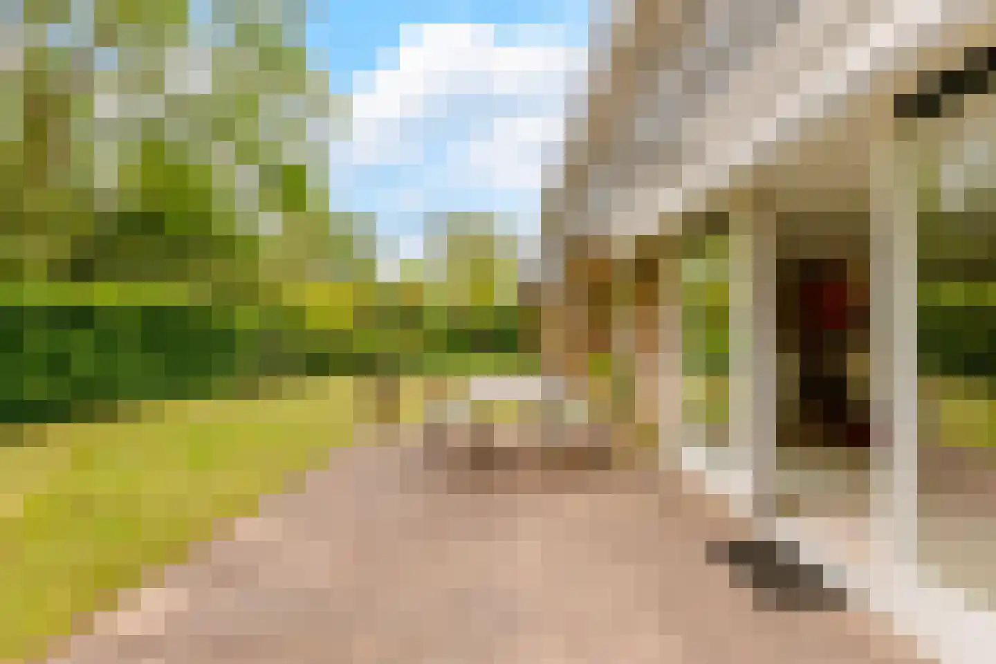Wethouder Tomsonbos 45 Heiloo thumbnail 24