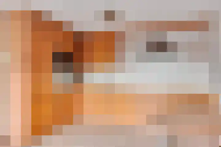 Wethouder Tomsonbos 6 Heiloo thumbnail 15