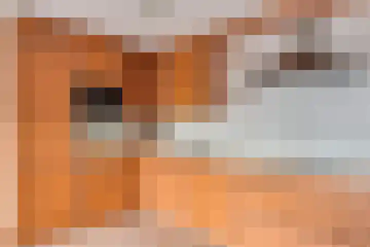 Wethouder Tomsonbos 6 Heiloo thumbnail 17