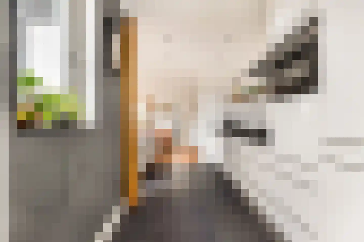 Wethouder Twaalfhovenstraat 14 Uitgeest thumbnail 23