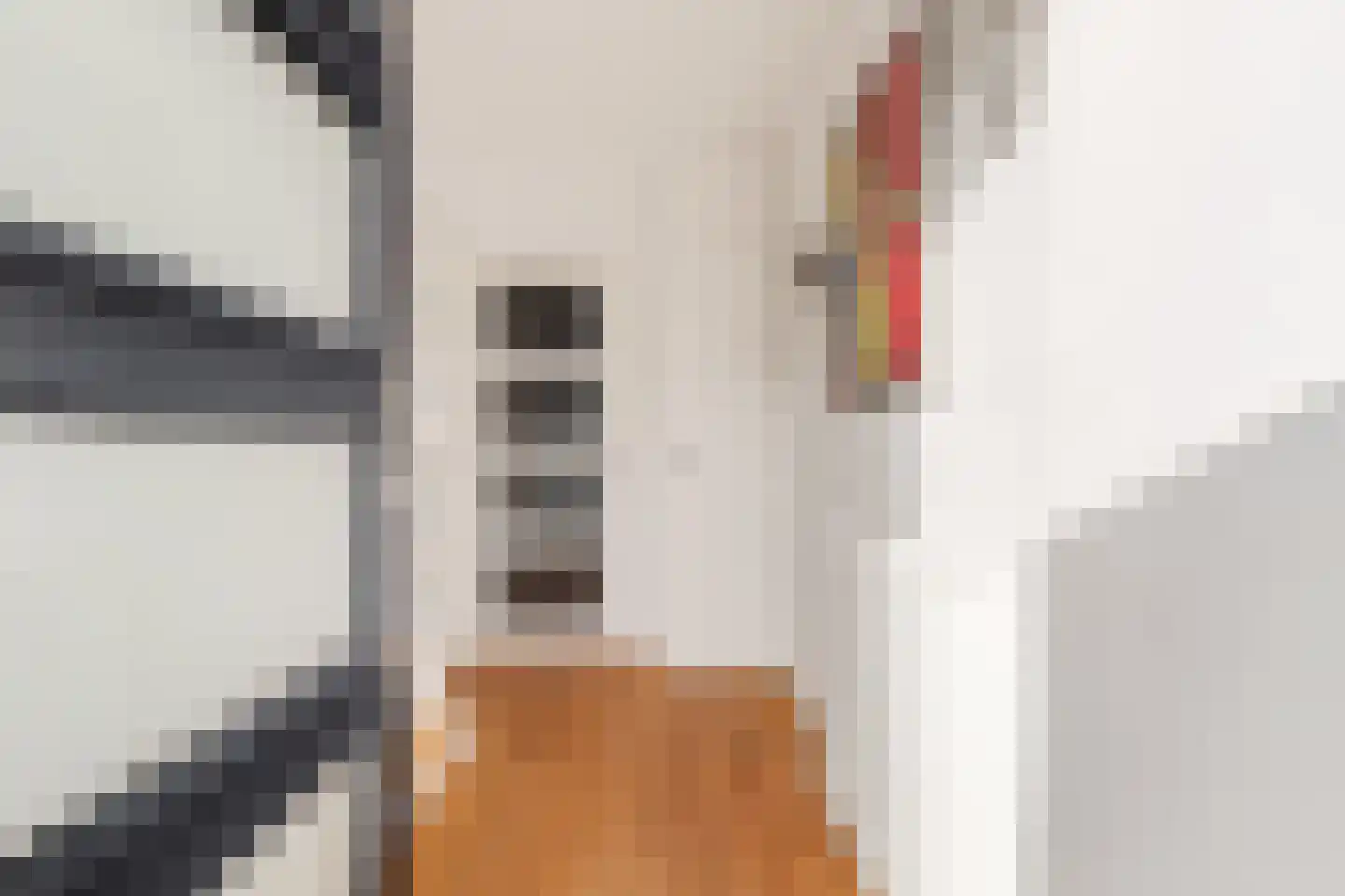 Wethouder Twaalfhovenstraat 14 Uitgeest thumbnail 8