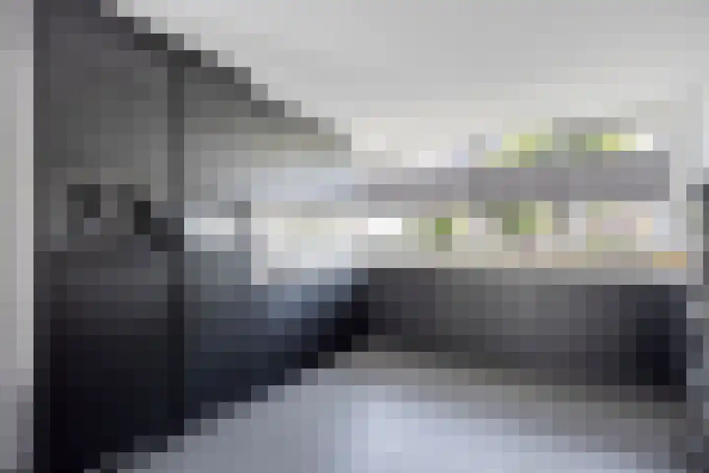 Wethouder Twaalfhovenstraat 36 Uitgeest thumbnail 12